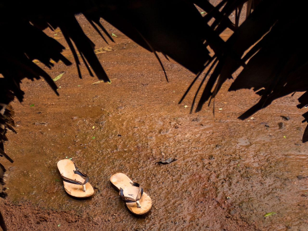 Inside World | Thandarai Village, Thiruporur