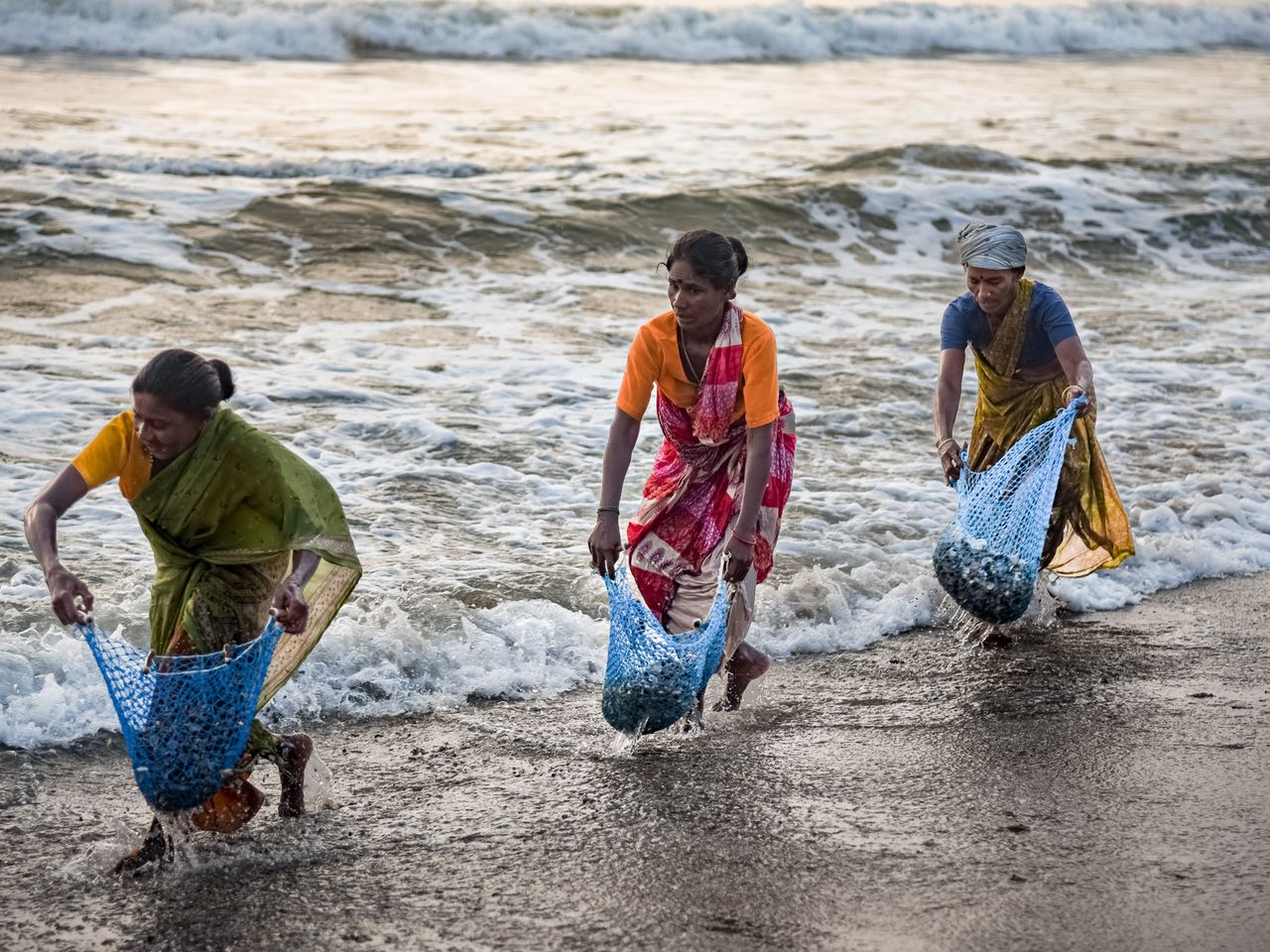 Collectors | Fisherwomen, Tharangambadi