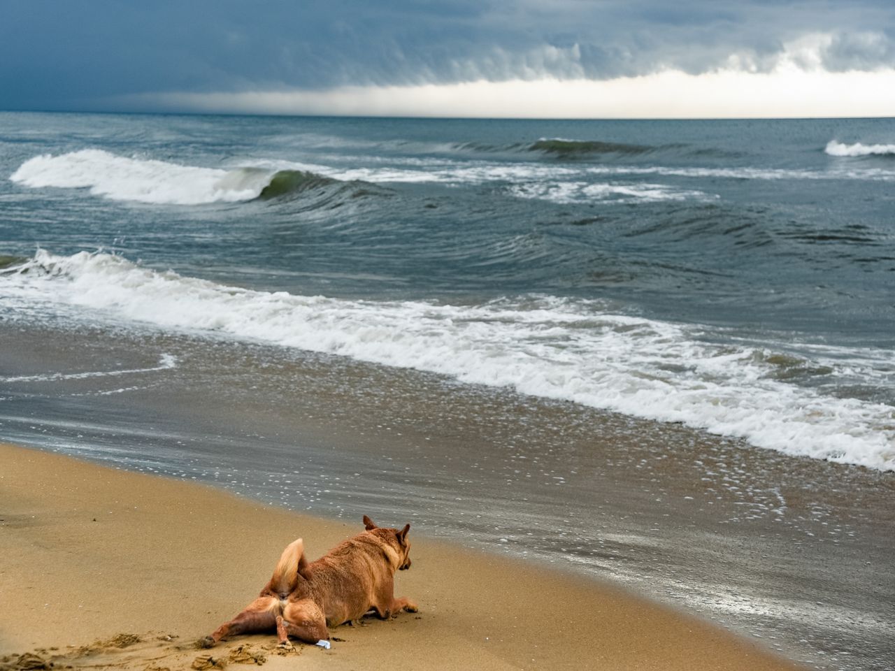 Bay watch | Besant Nagar